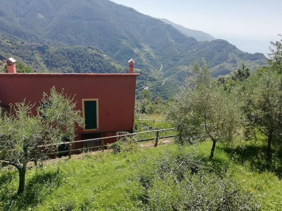 Quiet And Cozy Home With Wi-Fi Casa Prearino Vernazza Exterior foto