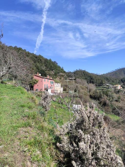 Quiet And Cozy Home With Wi-Fi Casa Prearino Vernazza Exterior foto